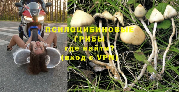 герыч Аркадак